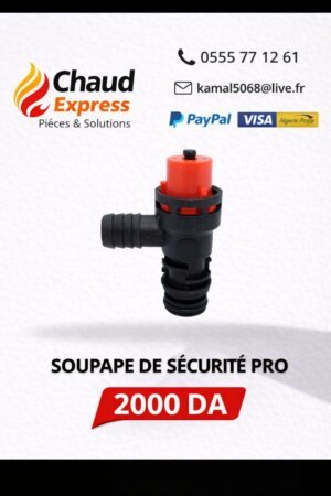 1000018708 soupape de sécurité