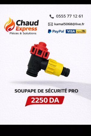 1000018711 soupape de chaudière