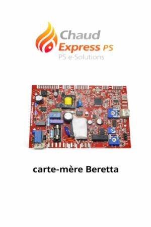 1000021540 carte mère Beretta