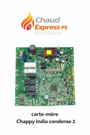 1000021542 carte-mère chaudière